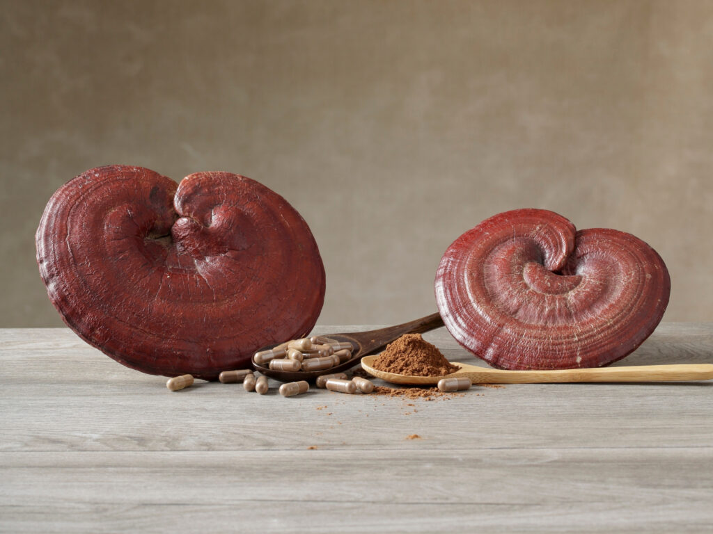 Reishi style and capsules