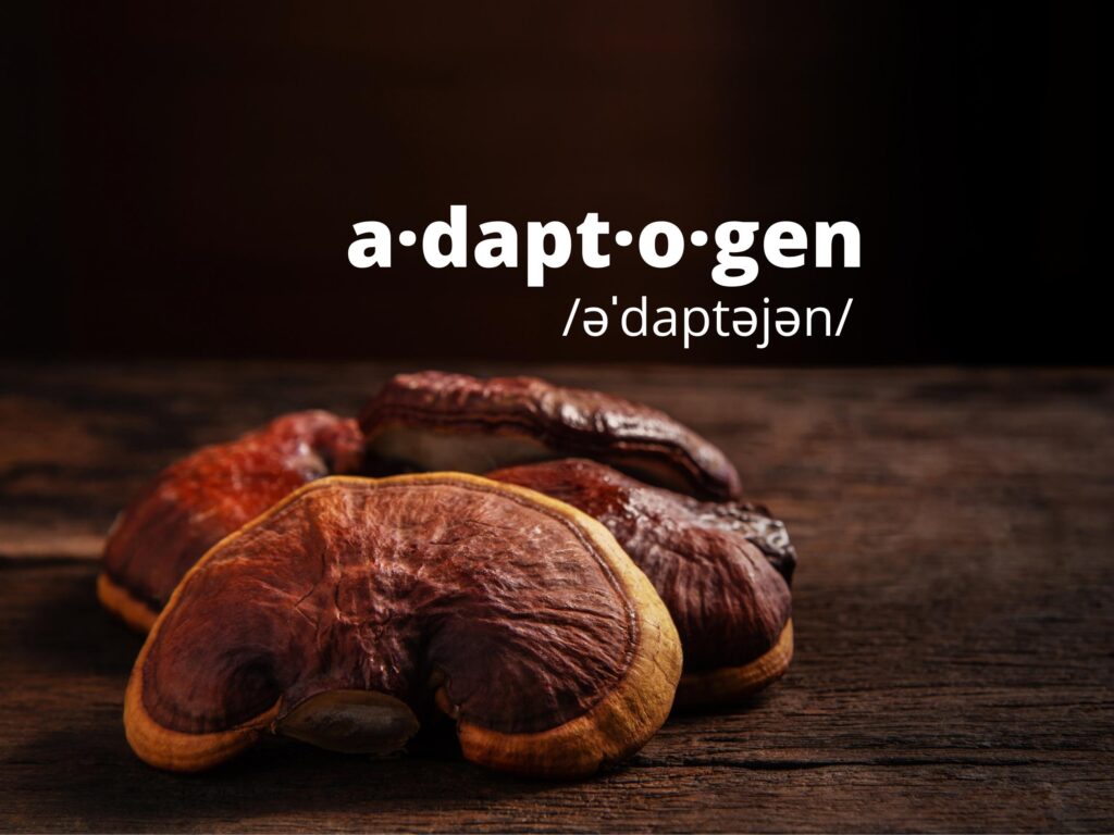 adaptogen EN